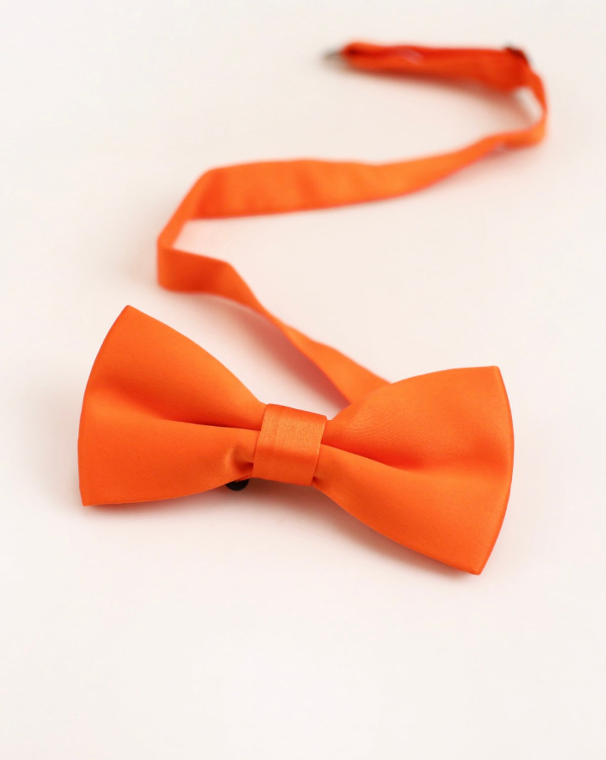 Orangefarbene Fliege